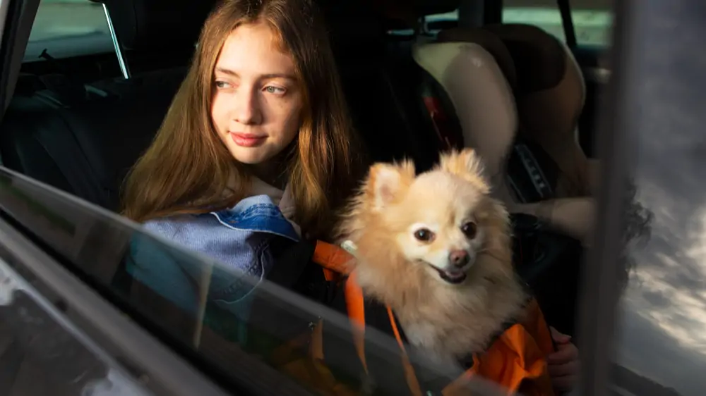 Pet-Friendly-Airport-Limo-Service-in-Toronto
