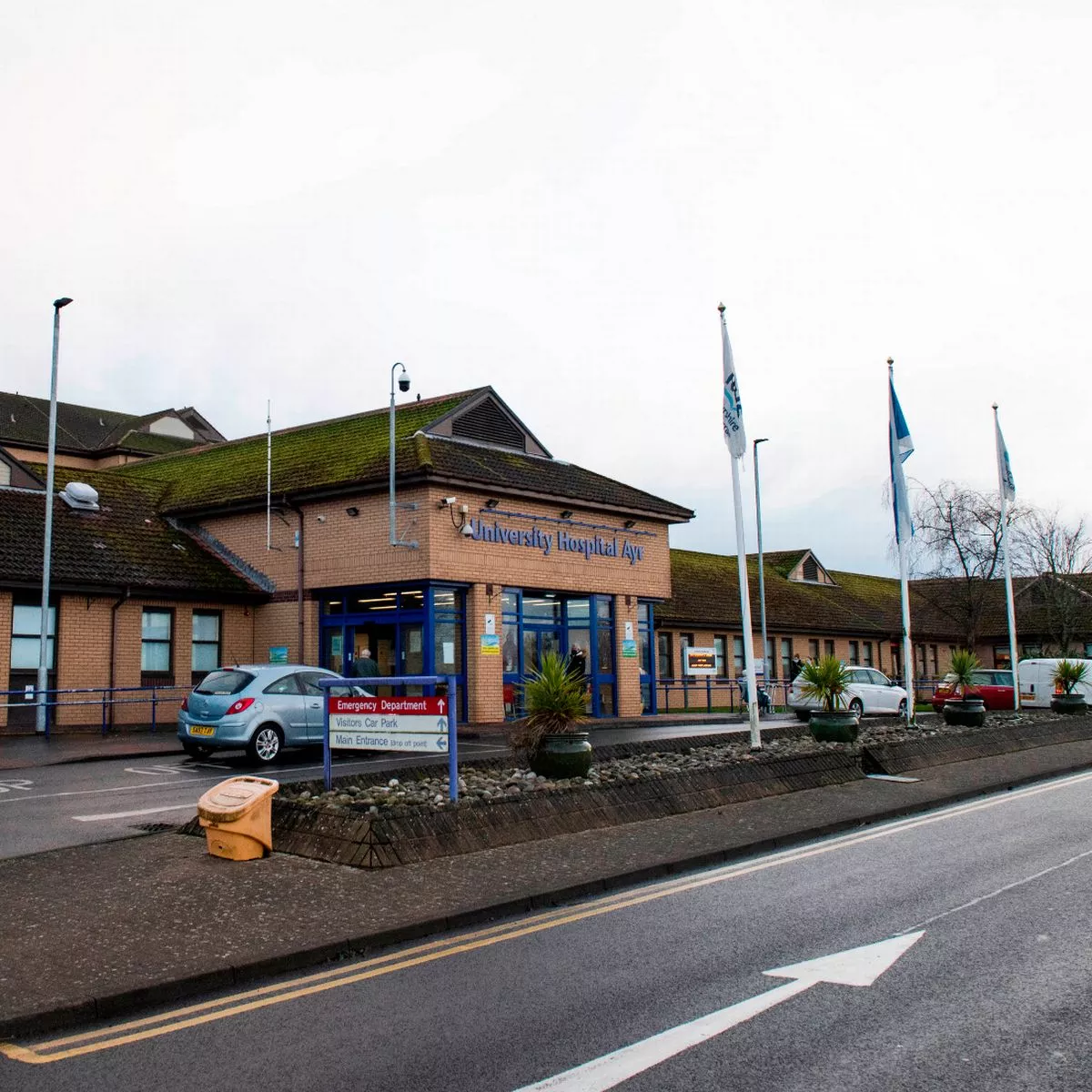 0 AMP SDR 031220 AYR 0002JPG