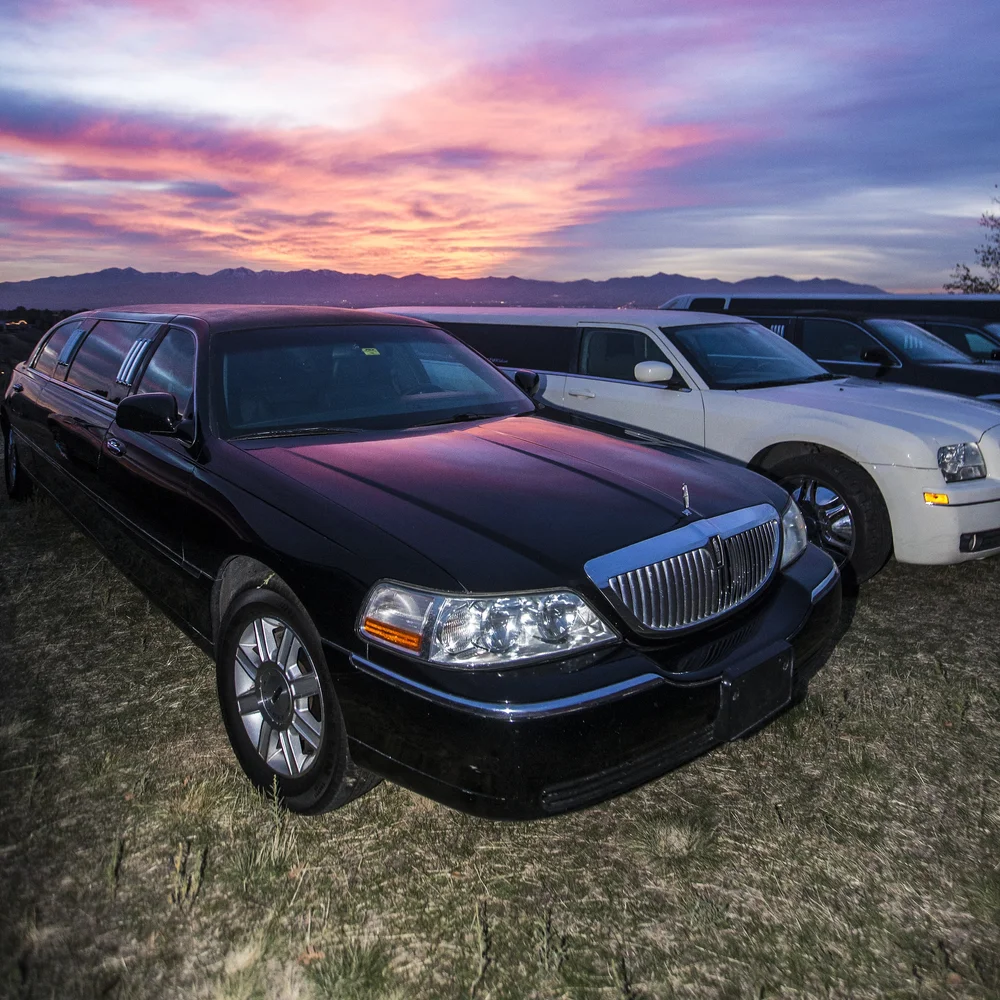 120DivineLimo 120DivineLimo